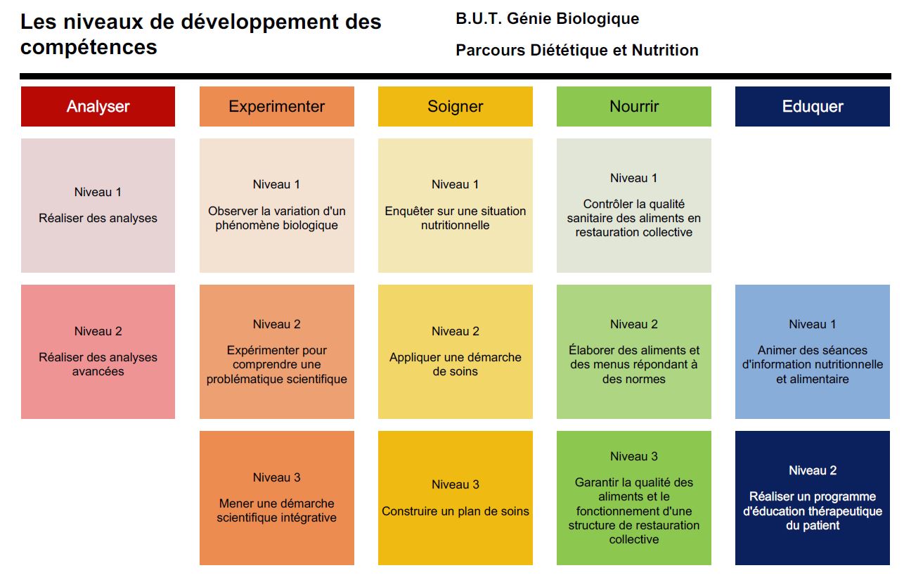 Compétences du parcours DN du BUT GB