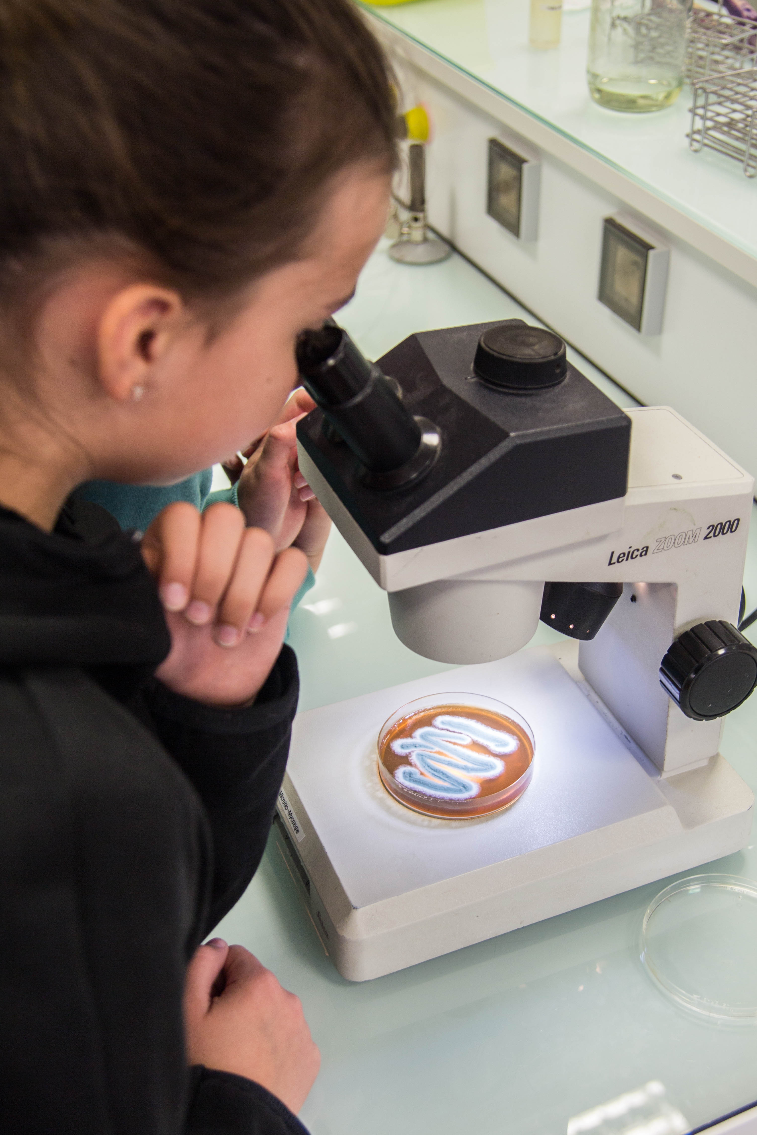 L'IUT fête la science